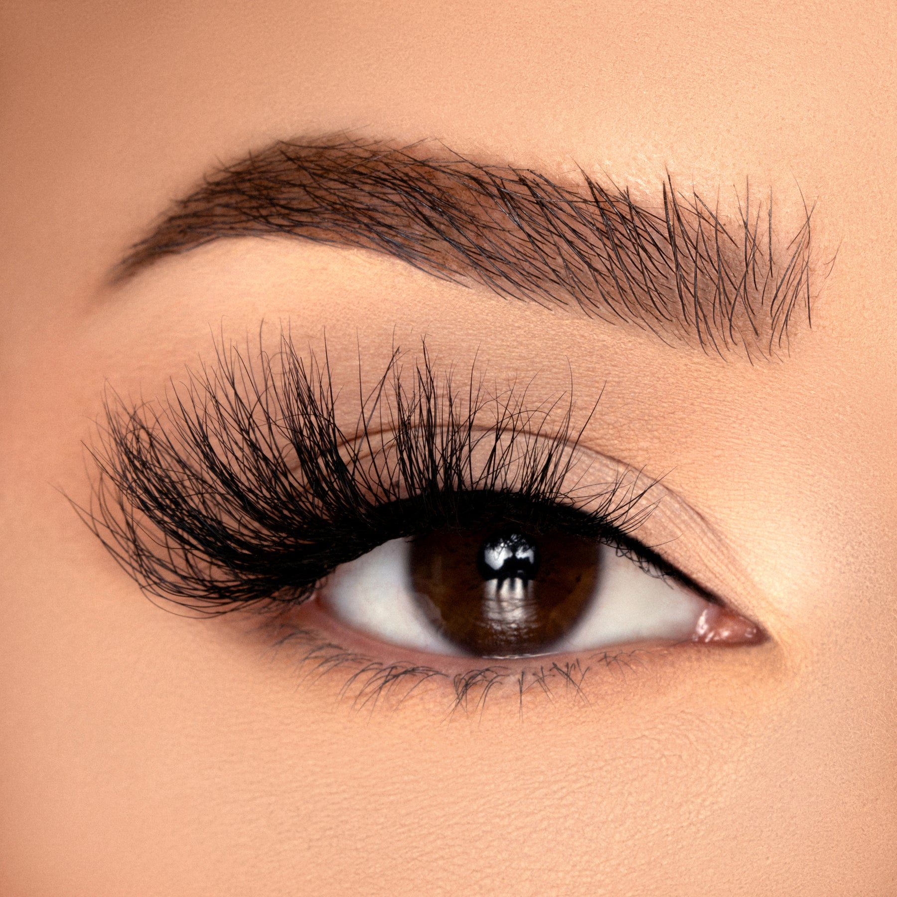 Foxy The Lash Bar LA